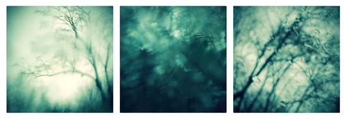 Texture 1