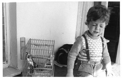 tolga 1983