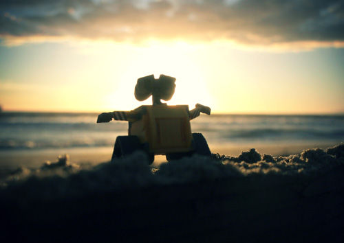 Wall-E on the Beach 1