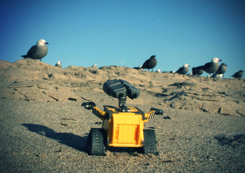Wall-E on the Beach 1